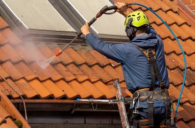 Démoussage et hydrofuge de toiture à Doumely-Bégny